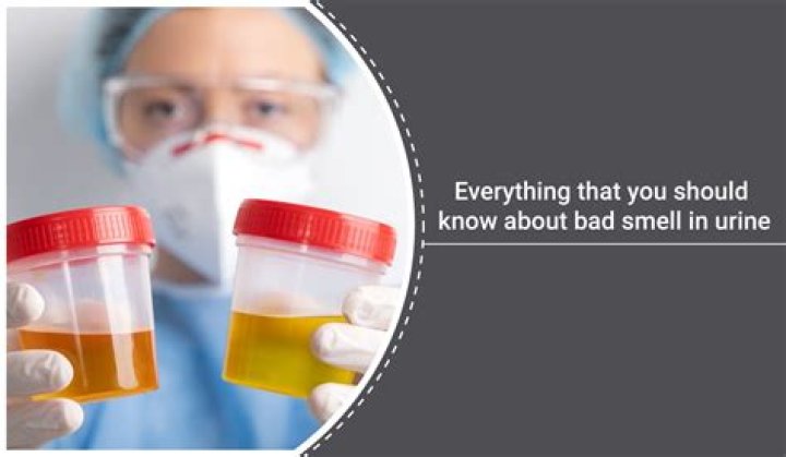 Does urine smell with kidney infection?