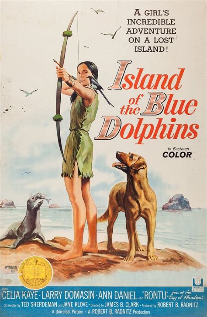 How long was the girl from the Island of the Blue Dolphins on the island?