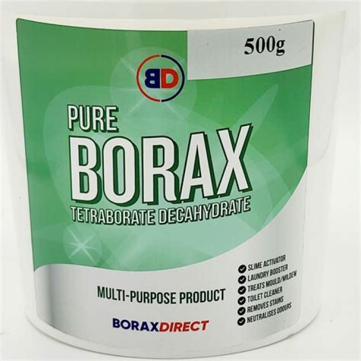 Is borax better than bleach for mold?