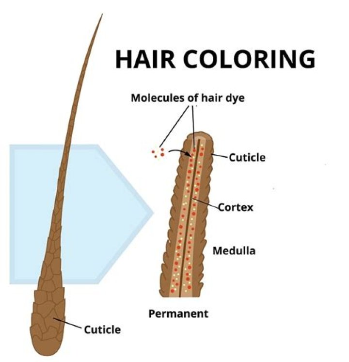 Is permanent hair dye really permanent?