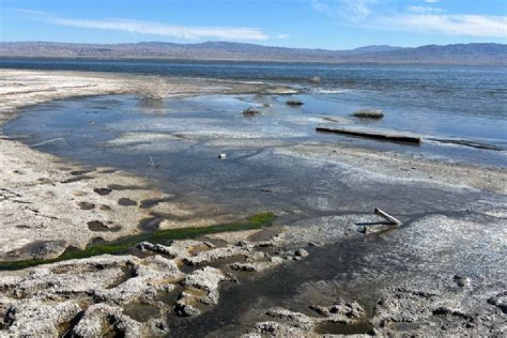 Is Salton Sea safe to swim in?