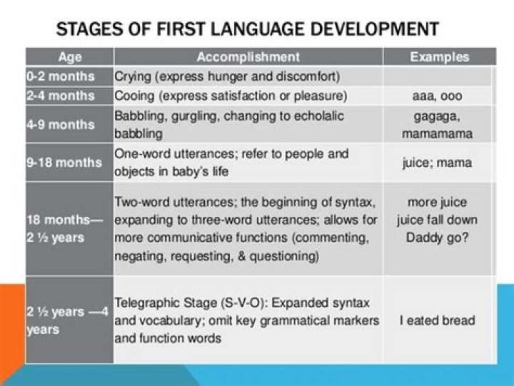 What are the five stages of language development?