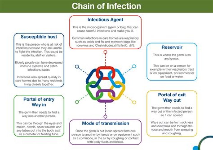 What are the six chain of infection?
