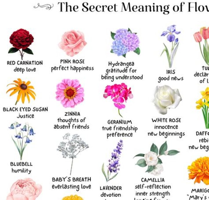 What flower means greed?